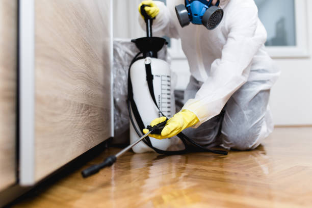 Best Ant Control Services  in Meeker, OK