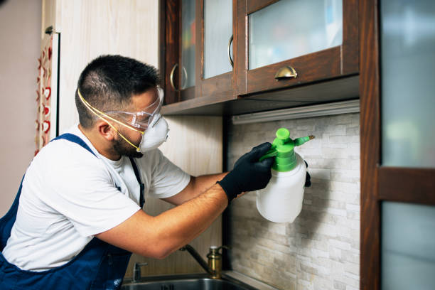 Best Pest Removal Services  in Meeker, OK