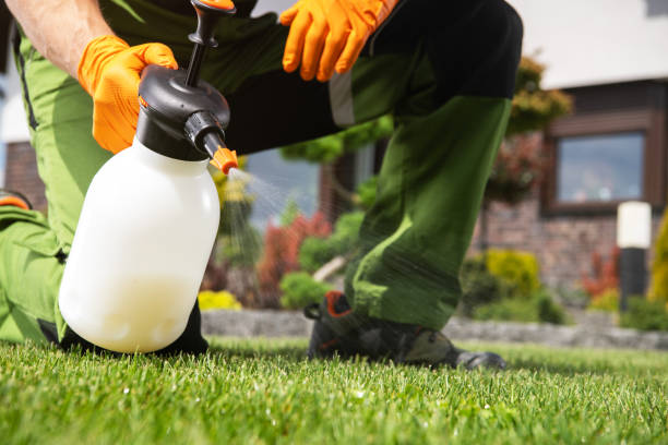 Best Affordable Pest Control Services  in Meeker, OK