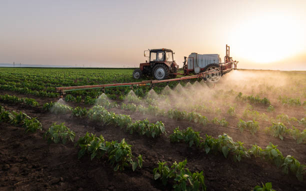Professional Pest Control in Meeker, OK