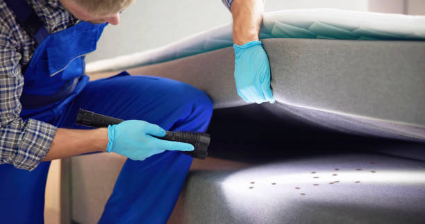 Best Best Pest Control Companies  in Meeker, OK
