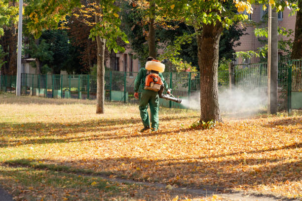 Best Wasp Removal Services  in Meeker, OK