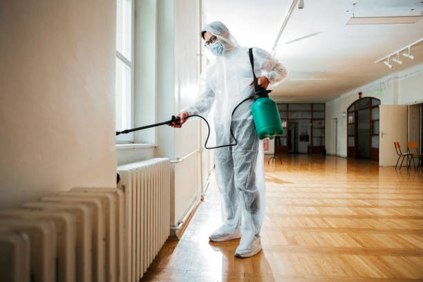 Best Bed Bug Extermination  in Meeker, OK