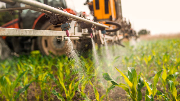 Best Local Pest Control Services  in Meeker, OK